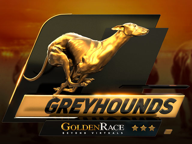 Dog 6 H.Odds